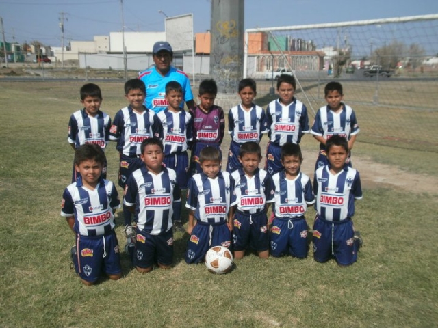 Diferentes categorias